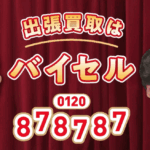 バイセルはなはなはな（0120878787）
